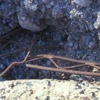 Twisted Truss from Earthquake