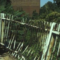 Twisted Railing