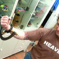 Caress Armform worn by the Artist