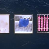 Sphynx’s Triptych (brooches)